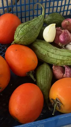 Masak masak