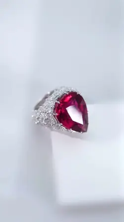New Collection 