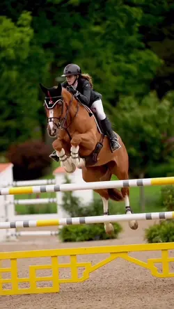 horses are life.