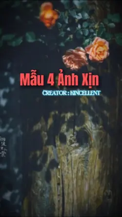 Mẫu 4 Ảnh Siêu Xịn