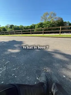 What is love ?
