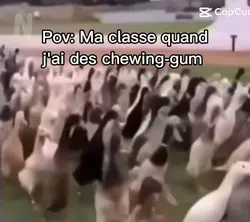 Mdr 