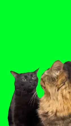 Cat Face meme