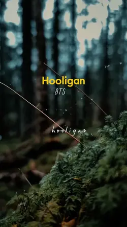 Hooligan - BTS -