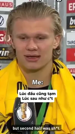 meme haaland