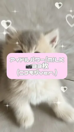 アイドルパワー/M!LK
