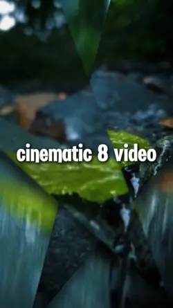 9 video cinematic 