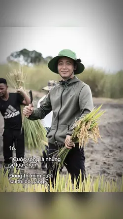 Caption + màu