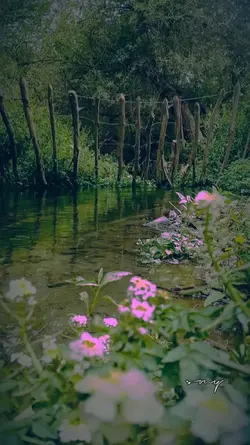 nature love 