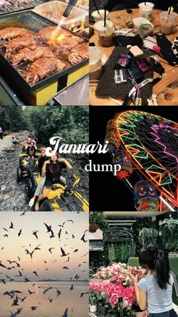 Januari dump 2026