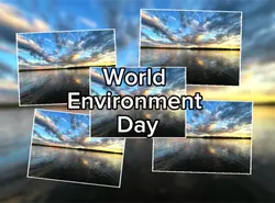 World environment da