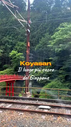 Japan vibes