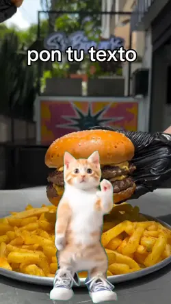 Gato Bailando 