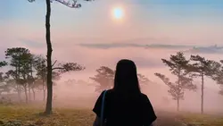 1 video cinematic 