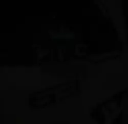 salesmann
