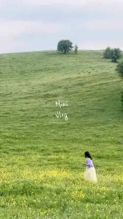 Mini Vlog