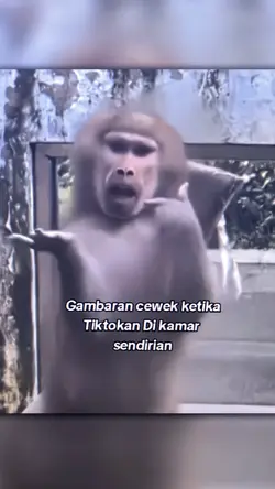 GAMBARAN CEWEK KTK