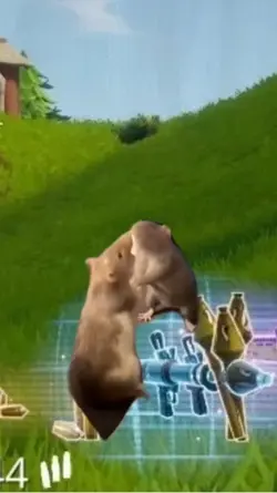 Fortnite modèle 