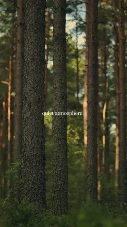 quiet atmosphere