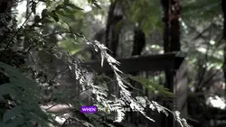demons lyrics