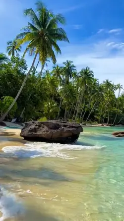 beautiful nature