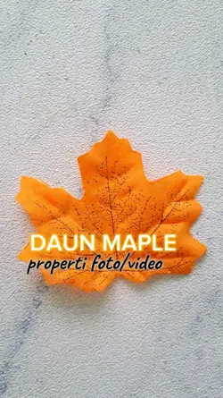 PROPERTI FOTO