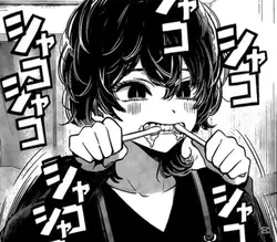 manga or anime?