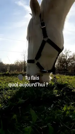 tu fais quoi 