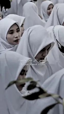 14 poto arabic song 