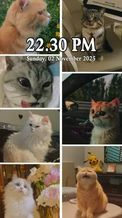 Phone Wallpaper