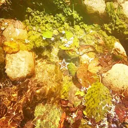 ★Beautiful Nature★