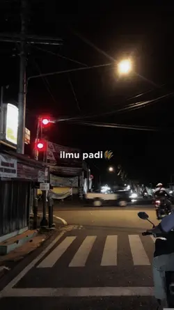 Ilmu Padi