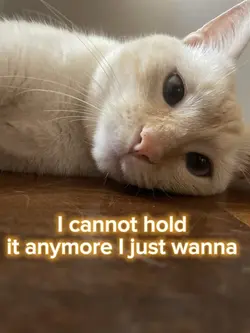 My kittyyyuhhhhh 
