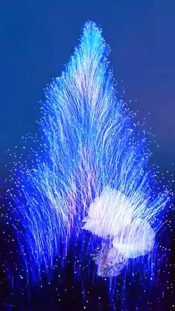 Fireworks effects