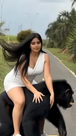 correndo no gorila 
