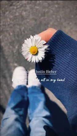 Daisies