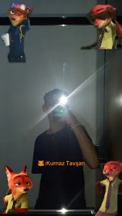 Tiktok Viral