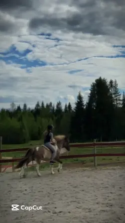 Samma gamla vanliga