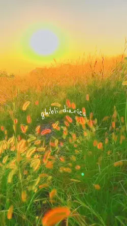 Ghibli diaries 🍂