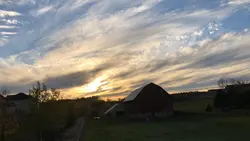 vibes estetik