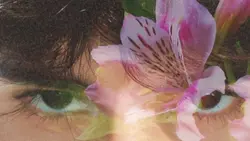 Flower Blooming