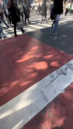 PRANK LG DI JEPANG