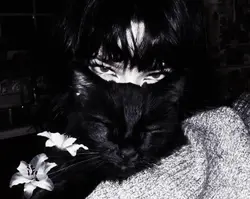 her eyes