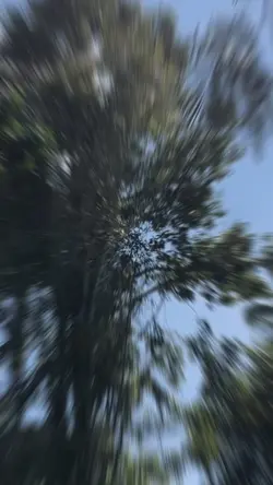 Vlog petualangan
