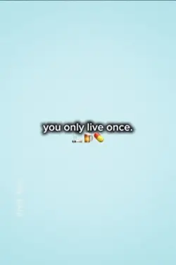 YOLO 