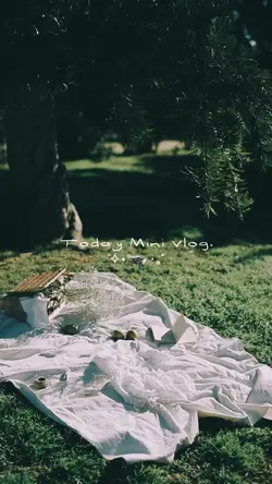 Picnic vlog