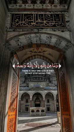 عبد الرحمن مسعد 