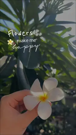 ✨Flowers ✨