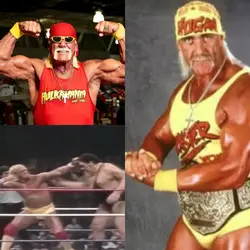Tribute toHulk Hogan