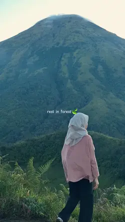 rest in forest